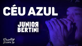 JUNIOR BERTINI RAVE DO CHARLIE BROWN JR