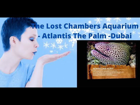 The Lost Chambers Aquarium – Hotel Atlantis "The Palm"