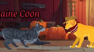 Strong Maine Coon VS Strong Rooster VS Meister Goose - Android Gameplay  screenshot 3