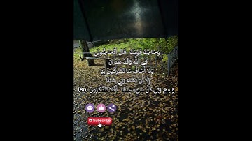 سورة أنعام #حالات #تليگرام #دويتو #فايسبوك #تيك_توك #لايك #اكسبلور #انستغرام #صباح_الخير #القرأن