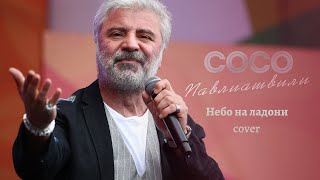 Сосо Павлиашвили - Небо На Ладони || Cover