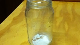 How to Make a Silverfish Trap - Homemade - DIY - Simple to Make - Uses Everyday Items
