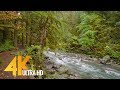 North Cascades National Park - 4K Nature Relax Video - Part #2 - Short Preview