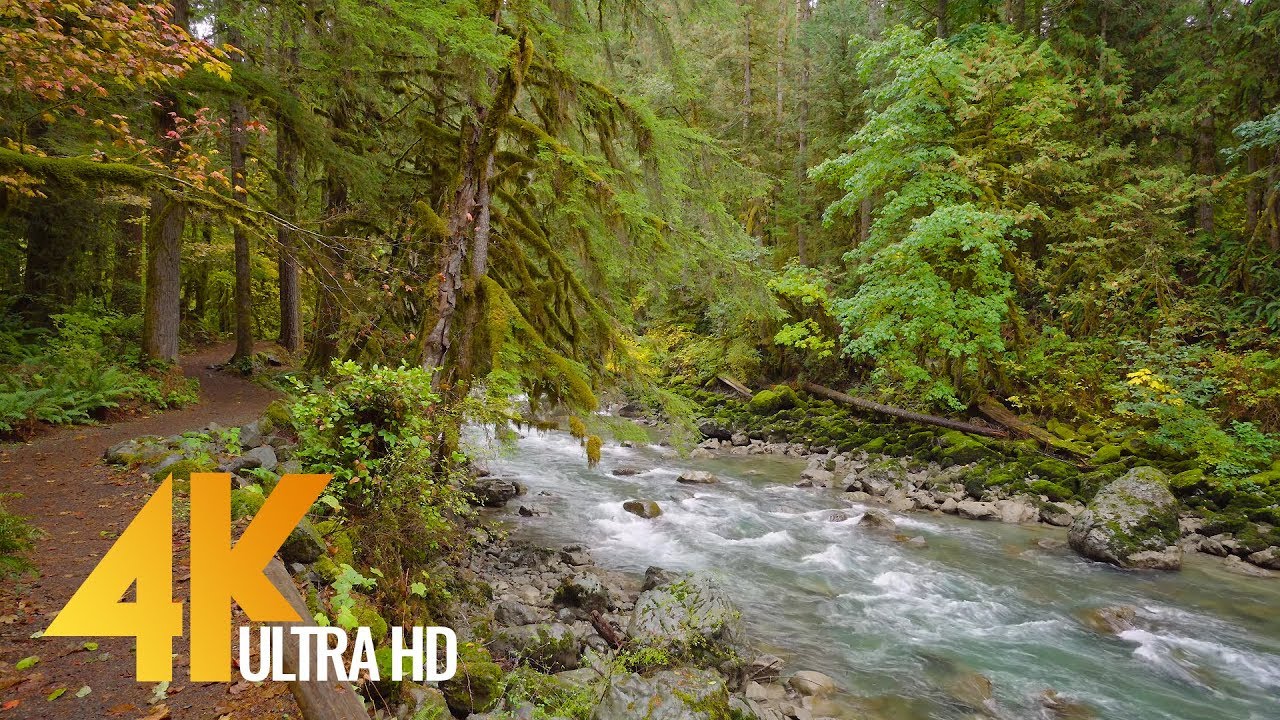 North Cascades National Park - 4K Nature Relax Video - Part  2 - Short Preview