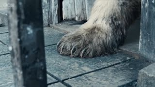 Avengers: Doomsday | Only in Theaters December 18, 2026 (Fan Trailer) #avengersdoomsday