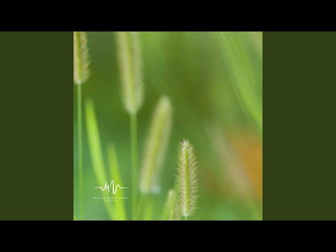 Regardez 街头 (扬琴舒缓) sur YouTube