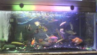 Capture 20121026 5
