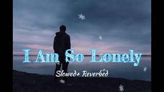 Arash I am So Lonely Slowed x Reverbed Version || Full Chill Music #iamsolonely