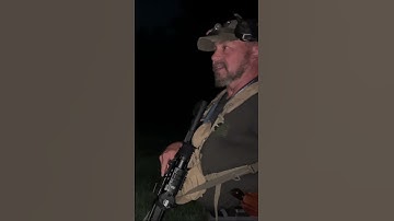 Got a Bunch of Wild Hogs Down! #hunting #hogs #hoghunting #thermal #downhogs #shorts