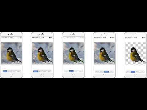 Fast Image Segmentation on Mobile Phone Using Multi-level Graph Cut