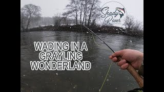 Wading in a Grayling Wonderland