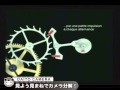 スローガバナーと時計の仕組みCG