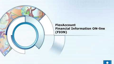 FlexSystem FlexAccount FION Demo 4 - Refer Cell Accounting Function