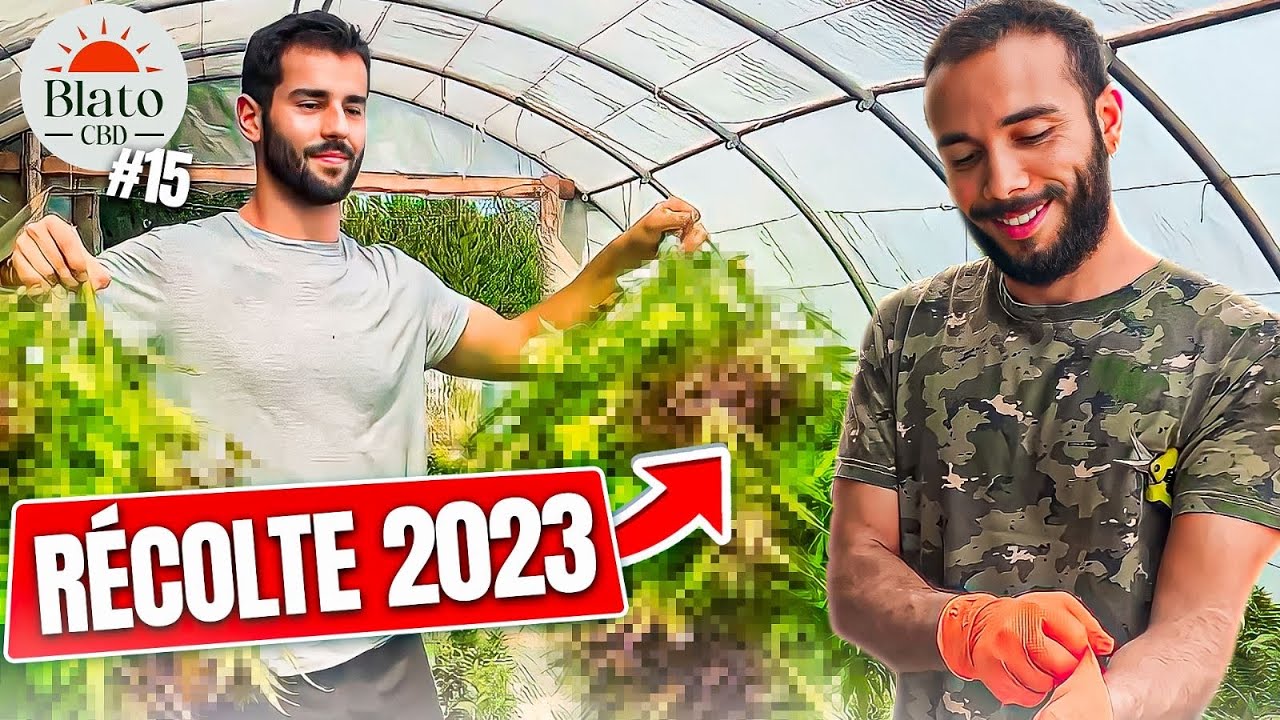 NOTRE PREMIÈRE RÉCOLTE (C'EST ÉNORME) ! EP#15