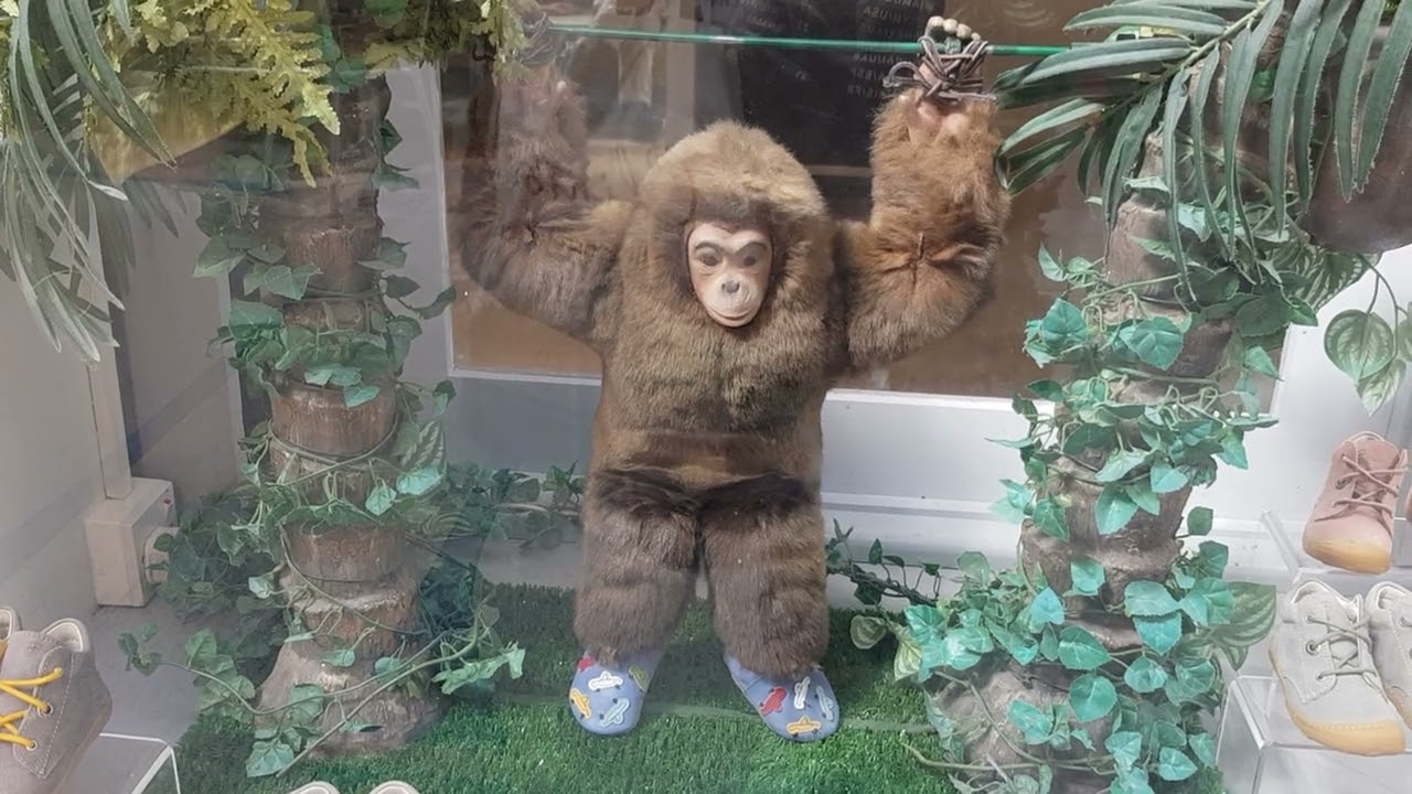 24 years later and yet, Stompers' mascot "Monkey" still lives up today!