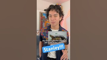 The school pet turtle…