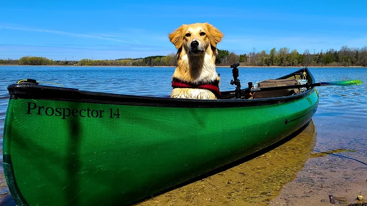 NEW SWIFT CANOE | DOG'S first paddle