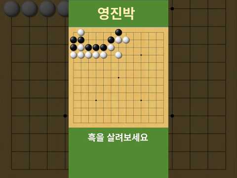 바둑 묘수 사활 (한수 한수가 지뢰밭) 흑을 살려보세요