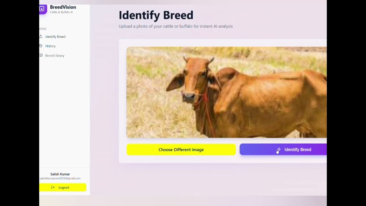 lmage based breed recognition for cattle and buffaloes of India 