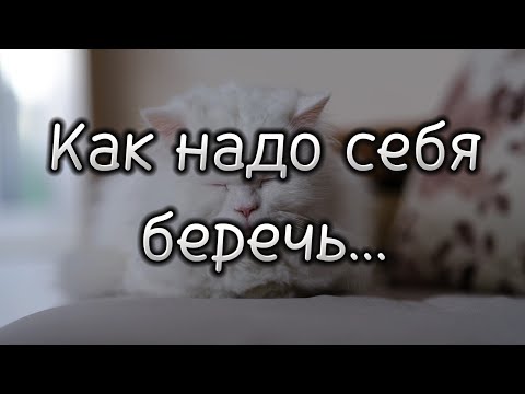 Как надо себя беречь... Настроение. 💯 Поэзия для души. 💯 Потрясающие стихи.