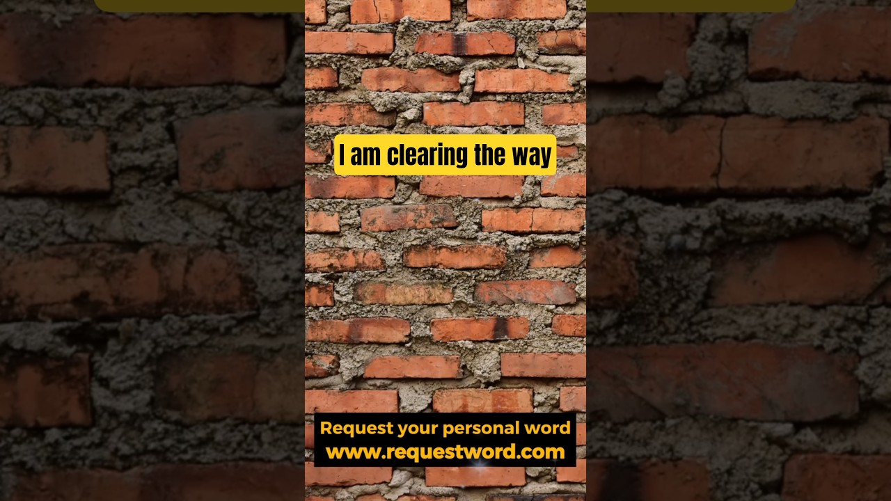 Я расчищаю вам путь.