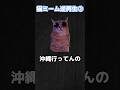 【第2弾】猫ミーム逆再生＋空耳集#shorts#ネタ#chipichipi #ねこ