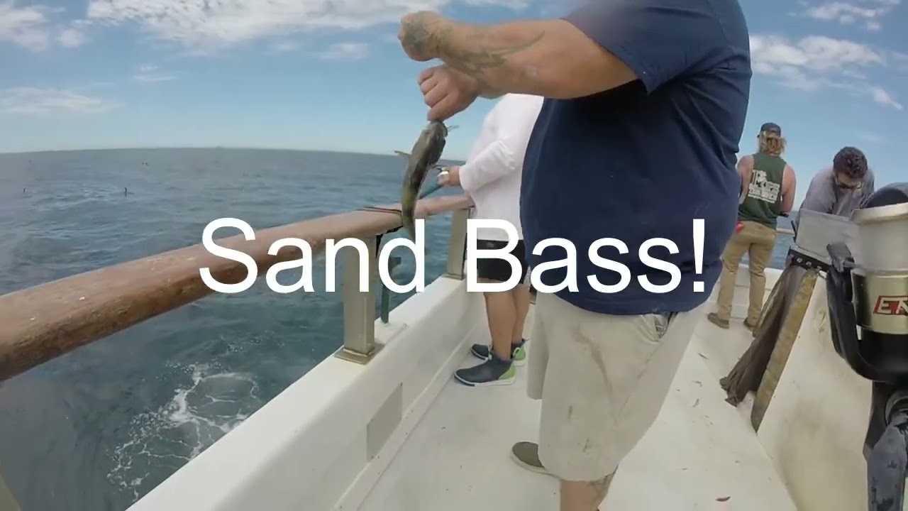 **Daily Double Sportfishing AM Fishing Trip – Bonito & Bass Action + Big Yellowtail Caught**
