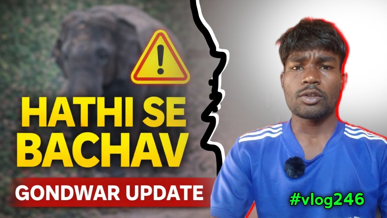 Hazaribagh Gondwar me Hathi ka Hamla | Ek Pariwar Par Dardnaak Ghatna | Samir Hansda Vlog