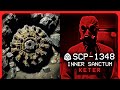 SCP-1348 │ Inner Sanctum │ Keter │ Memetic/Ritual SCP