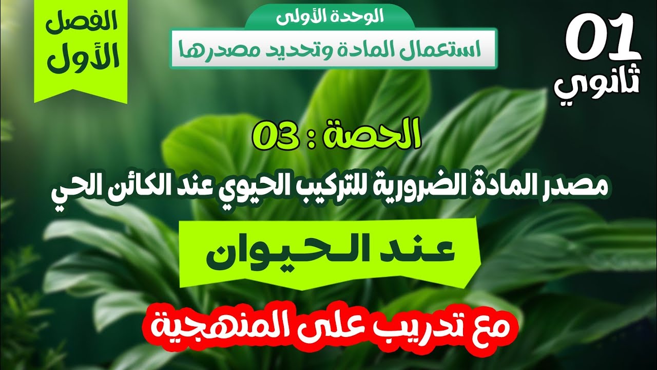 أولى ثانوي🎯الحصة 3: مصدر المادة عند الحيوان🔔 شرح مفصل مع تدريب على المنهجية💪