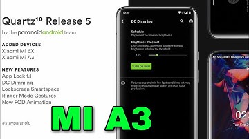Paranoid Android Q v5 - MI A3