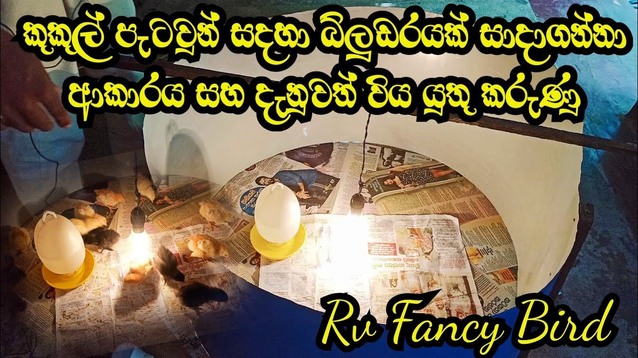 How to make a chicken brooder chicken brooder time brooder for