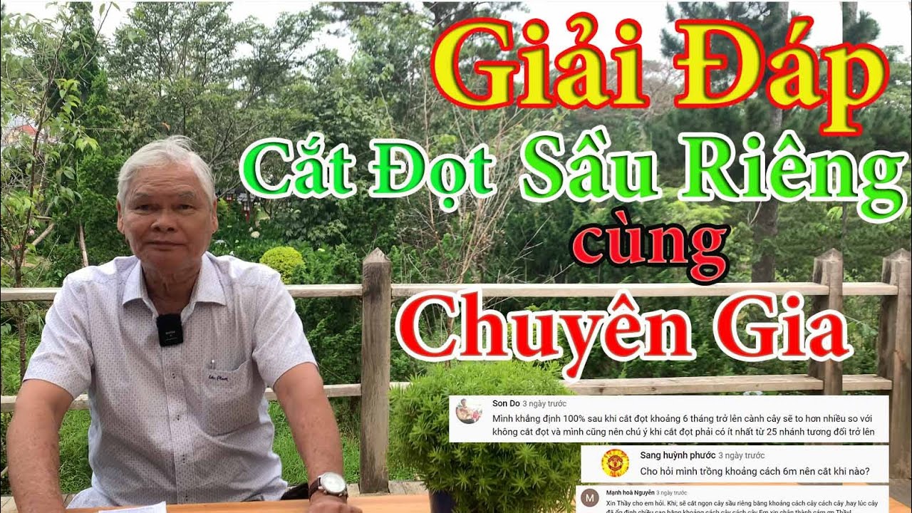 PHÂN TÍCH VÀ GIẢI ĐÁP PHƯƠNG PHÁP CẮT ĐỌT SẦU RIÊNG CÙNG GIÁO SƯ HÂU