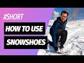 How to Use Snowshoes #Shorts