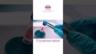 The Next Generation of IVF TreatmentIVF.   Phone:𝟴𝟴𝟴𝟬𝟬𝟵𝟵𝟯𝟬𝟬 #TamaraHospital