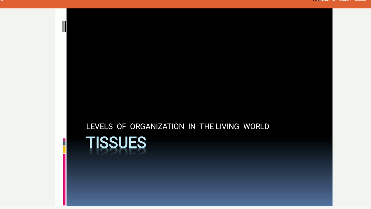 Tissue