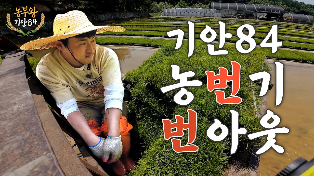 [농부왕 기안84] (Ep.05) 농부왕의 모내기 준비는 처음이라😅