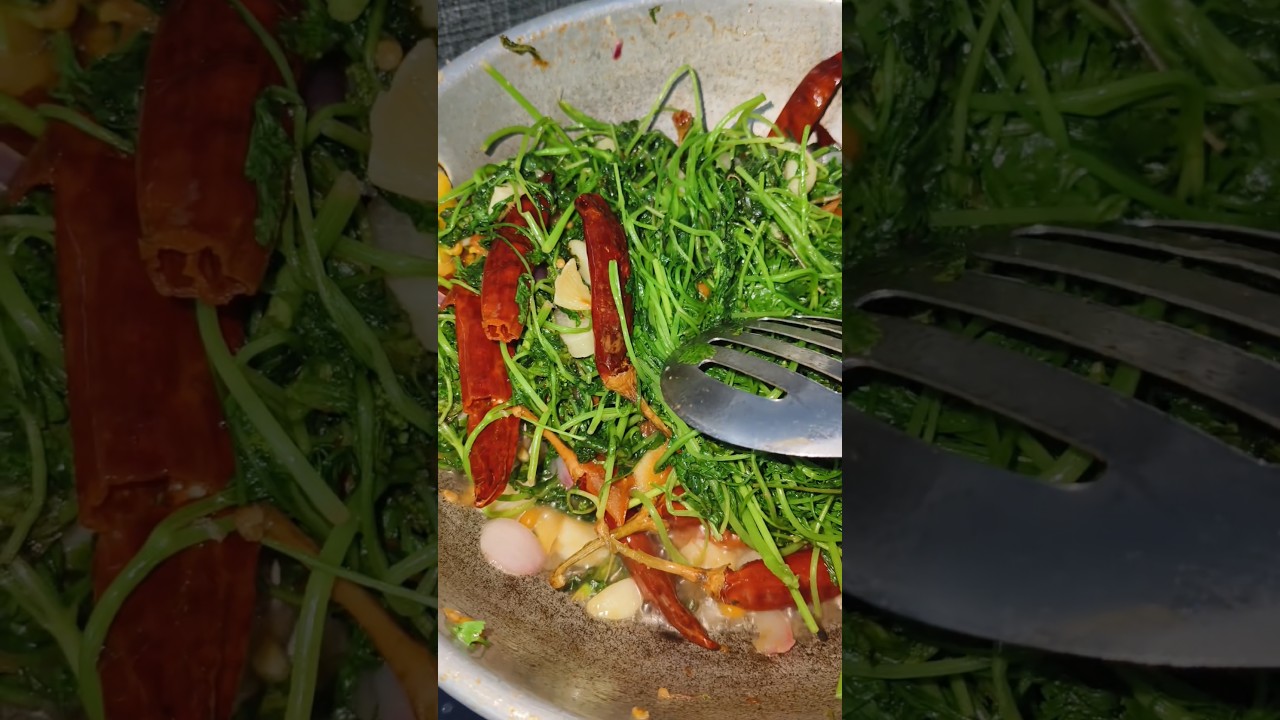 Сегодняшний мини-влог закончился 