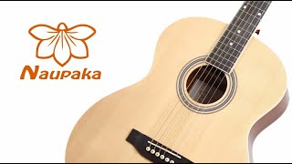 Naupaka アコースティックギター びっくりするほど上手くなる 12週間動画講座つき