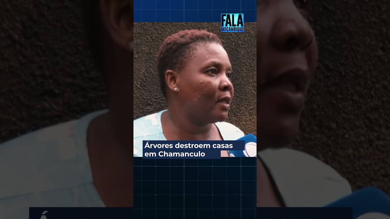 Árvores caem e destroem casas no Bairro de Chamanculo @TVMiramar