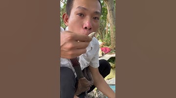 Phần 11 | Cắm câu cá