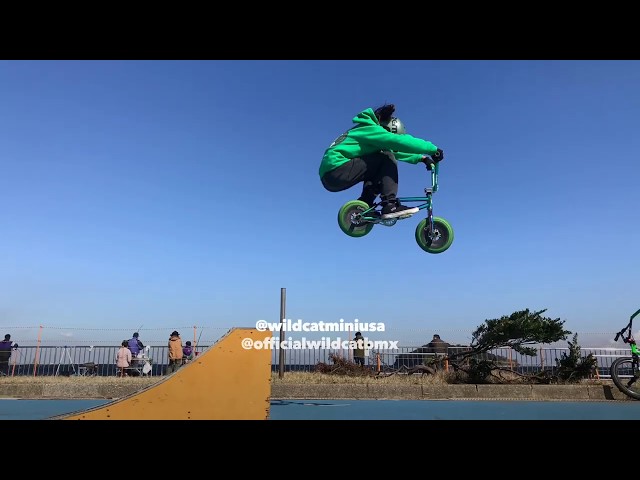 Wildcat Mini BMX Bikes  Best Mini Stunt Bike for kids