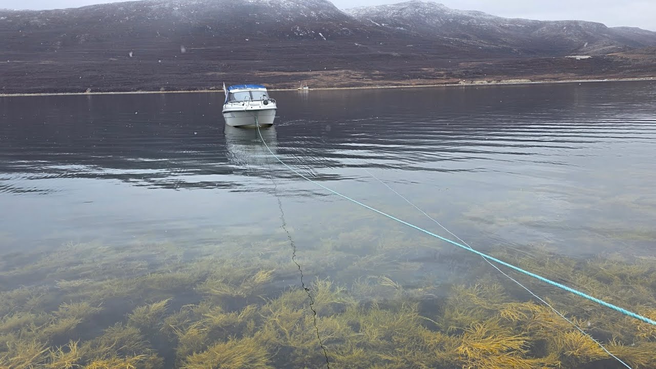 Tuttunniarneq Itilleq 29-10-1025