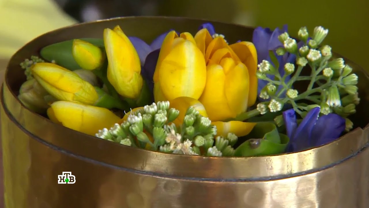 Компания CrystalStone и Cambria  в программе "Квартирный вопрос" - столешница на кухню!