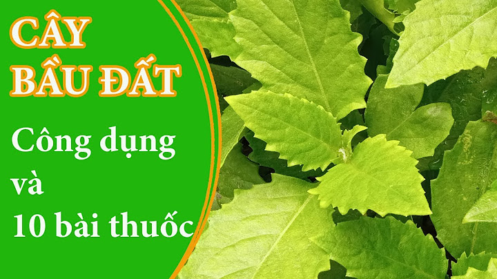 Các loại thảo mộc dụng trong nấu ăn