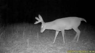 Iowa Hunting Lease Now Available On HLRBO