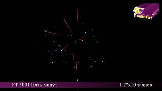 Батарея салютов FT 5001 Пять минут (10 залпов)
