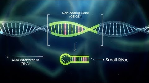 GEiGS® – Gene Editing induced Gene Silencing – new technology for crops, livestock and aquaculture