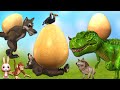 Wolf egg theft funny video || Cartoon Dinosaur and wolf comedy by Mr Lavangam