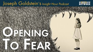 Joseph Goldstein on Opening to Fear - Insight Hour Ep. 166